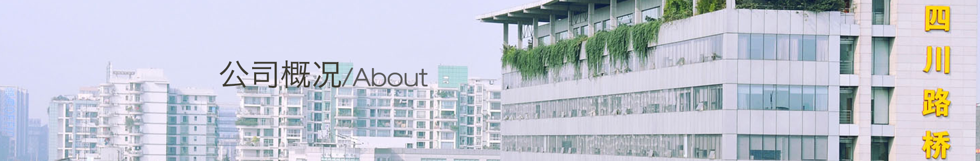 公司概況 公司概況