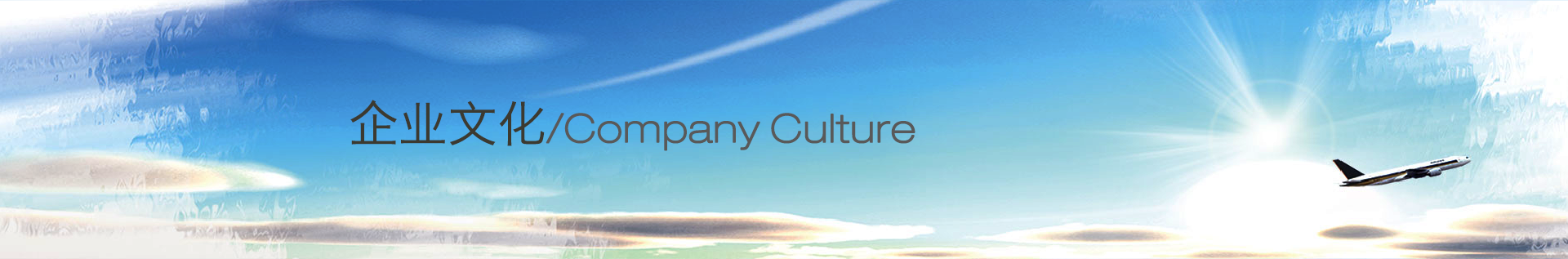 企業文化 企業文化